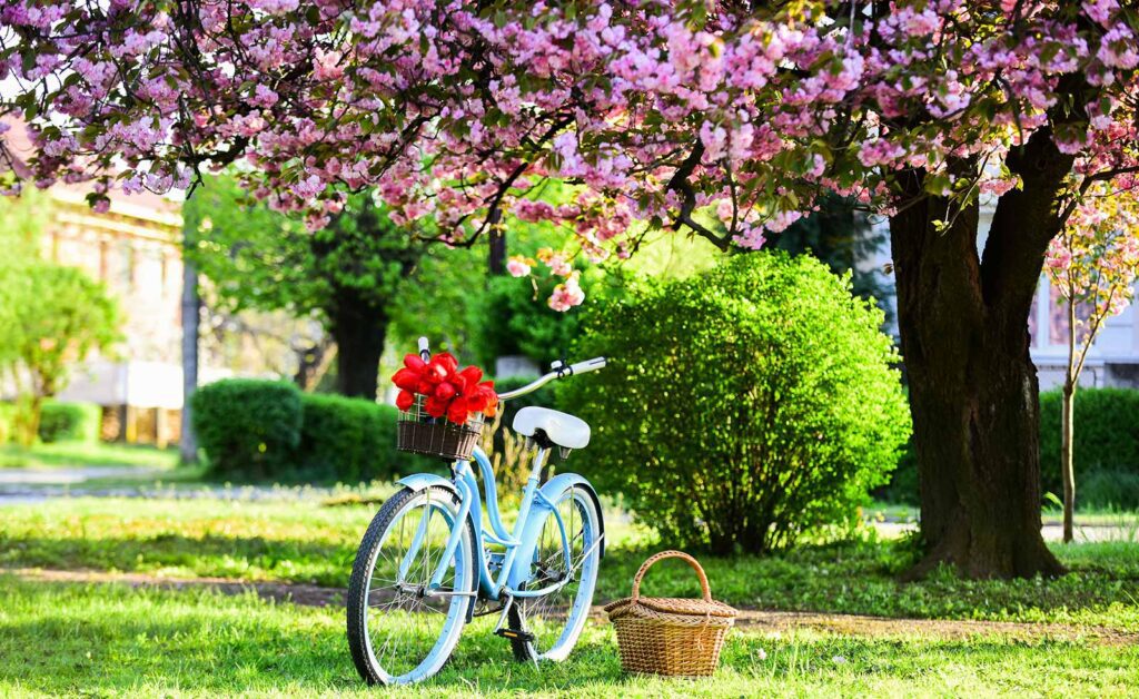 London Weather in Spring, green and flowers, bike to rent