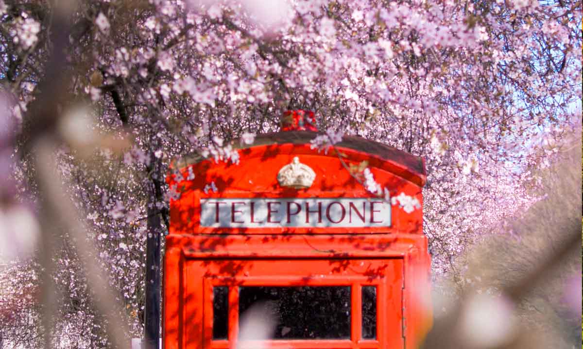 Iconic London red phone box in spring