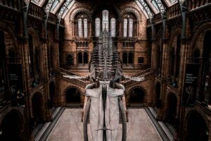 Natural History Museum, London
