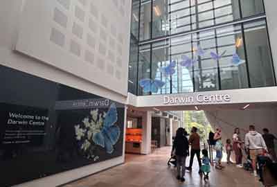 Darwin Centre in Natural History Museum in London, UK