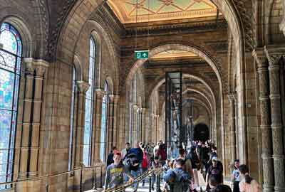 Hintze Hall Balconies, Natural History Museum, London
