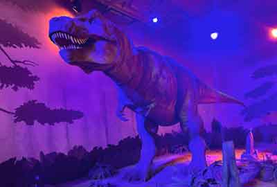 T-Rex dinosaur display in the Natural History Museum, London