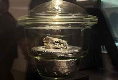 Winchcombe meteorite in Natural History Museum in London England
