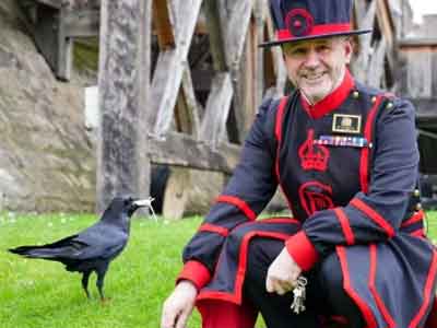 The Ravens at the Tower of London - Image © Historic Royal Palaces https://www.hrp.org.uk/tower-of-london/