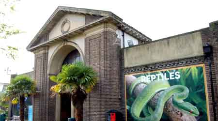 The Reptile House at London Zoo - image courtesy of London Zoo