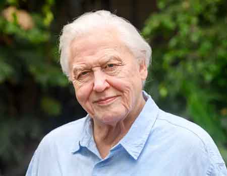 Sir David Attenborough wax figure, Madame Tussauds London - Image courtesy of https://www.madametussauds.com/london/