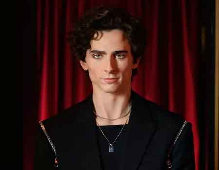 Timothée Chalamet wax figure, Madame Tussauds London - Image courtesy of https://www.madametussauds.com/london/